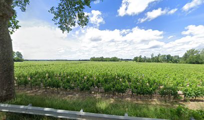 TCPE ESTRADE ATELIER DE TAILLE DE PIERRE Lalande-de-Pomerol