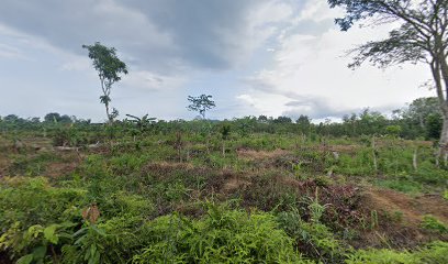 Toko Bunga Bangka Belitung