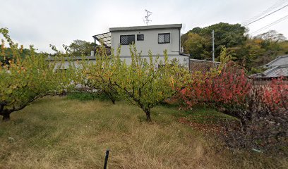 富田林運送（株）