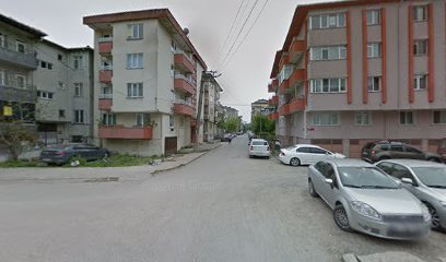 Adapazarı Çiçekçilik Hediyelik Eşya Ve Züccaciyeler Odası