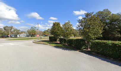 Oldsmar City Fishing Park