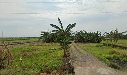 Pemotongan kayu