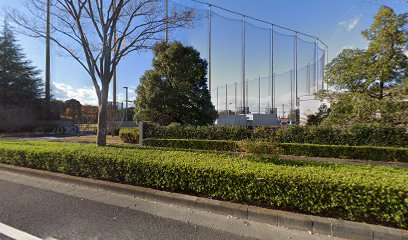東京海上日動多摩総合グラウンド野球場