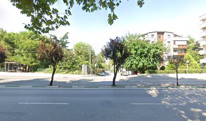 Türkmen Car Rental Filo & Gayrimenkul