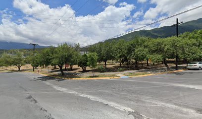 Scouts de México