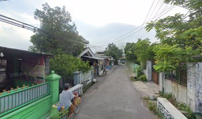 PETERNAK AYAM BANGKOK,DAN SBB:(AYAM PAKHOY, GANOI, SHAMO, PLUKER)KANDANG JEMBER JAWA TIMUR