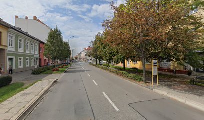 Prostějov, Svatoplukova DONA