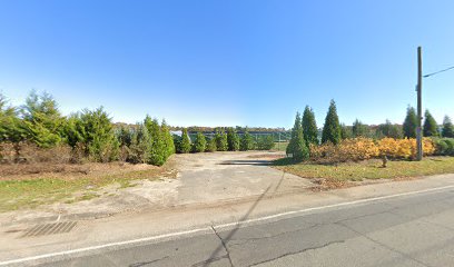 Sutter Greenworks Solar Site