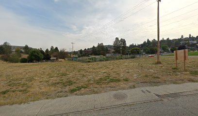 Henry Devries Community Garden