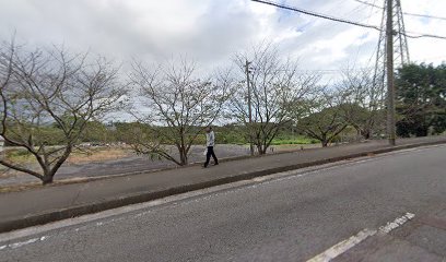 東和運送大分日出支店