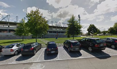 Galo de Barcelos Do Estádio Municipal de Barcelos