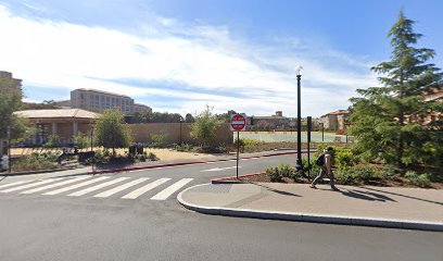 Basketball court