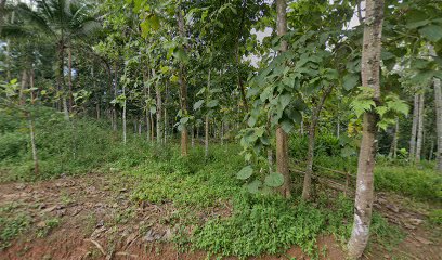 Kebon Jati Dua Guha