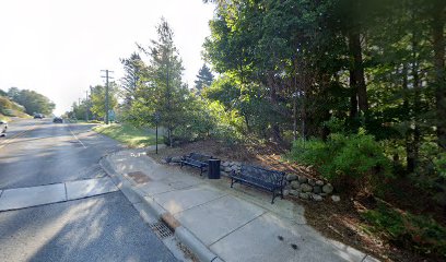 Petoskey High School Path