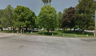 Pleasant Plains water tower/Cardinal