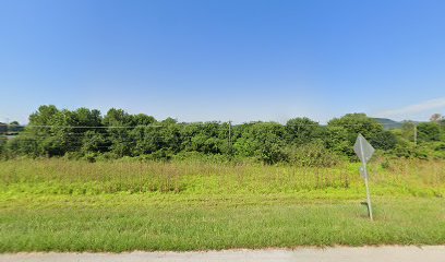 Feurt Mounds and Village Site