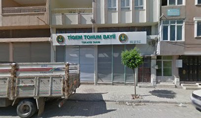 Tigem Tohum Bayii Tokaris Tarim