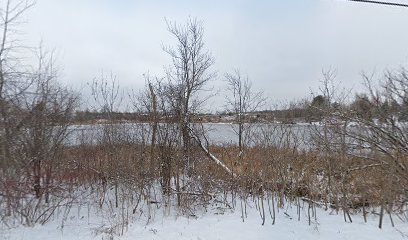 Morriston Pond