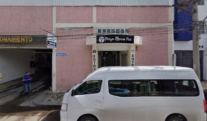 Sindicato Industrial Revolucionario de Trabajadores del Auto Transporte del Estado de Guanajuato