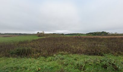 Faville Grove Sanctuary - Snake Marsh