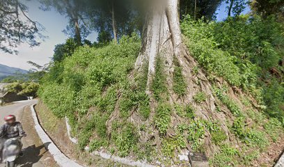 Makam Desa Pledokan