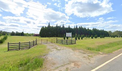 Watson's Christmas Tree Farm