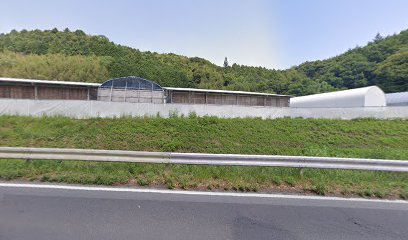 藤増牧場