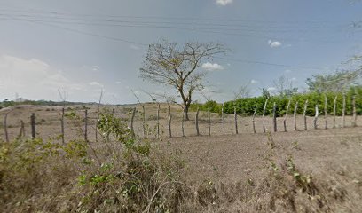 FINCA PA LO QUESA