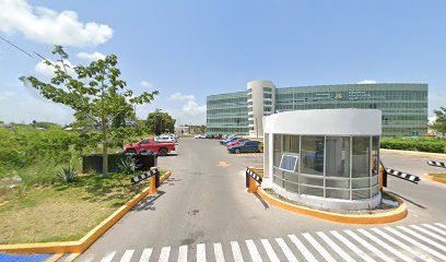 División de Ciencias de la Salud Campus Chetumal