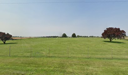 Pioneer Cemetery