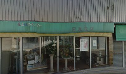 田原花店