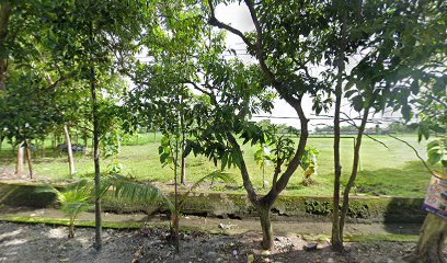 Makam Desa Muneng