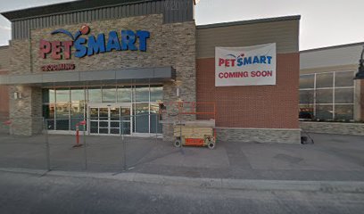 PetSmart Dog Training