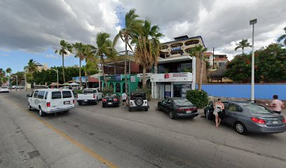 Custom Baja Real Estate