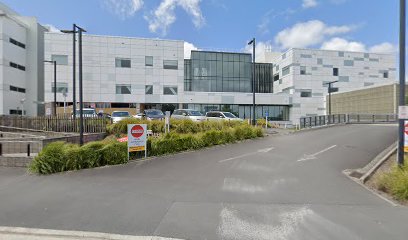 Waikato Hospital Emergency Department