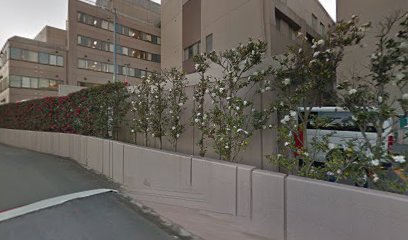 順天堂大学静岡病院救急搬入口