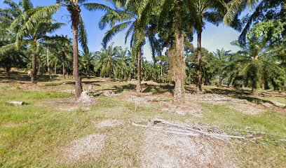 Kampung Teratak Batu (Ladang Kelapa Sawit)