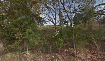 Brabson Cemetery