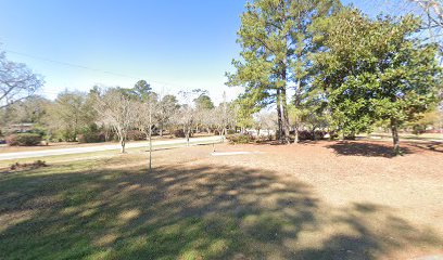 Park Circle Disc Golf Hole 4 Tee