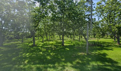 Dellwood Pecan Tree Nursery
