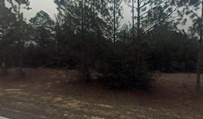 Compass Lake Fire Tower