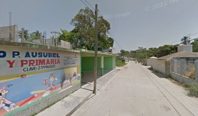 Colegio David P. Ausubel