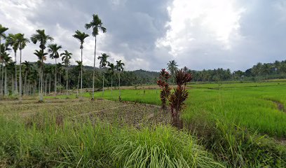 Warung Reni