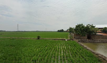 Citrajaya