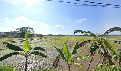 Taman Nursery