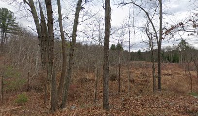 North Brook Farm