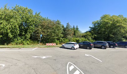 Parkering - Lindenborgvej S