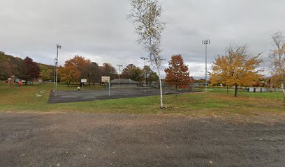 Tennis court