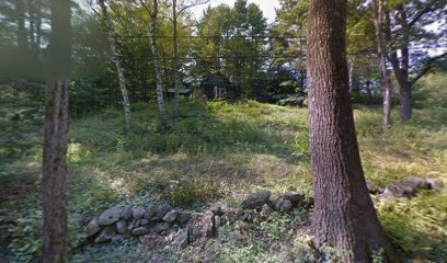 Vermont Cabin