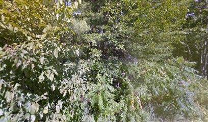 Small Creek by Muskoka Bay Park